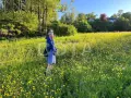 КАРЕЛЬСКАЯ ВЕСНА - СБОРНЫЙ ТУР НА МАЙСКИЕ ПРАЗДНИКИ - фото 20 (миниатюра)