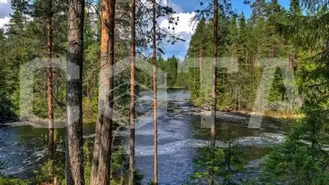 Сплав по реке Шуя - фото 5
