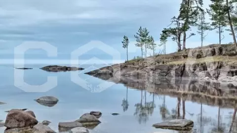 Карельские каникулы: Кижи-Валаам-Соловки за 5 дней. - фото 2