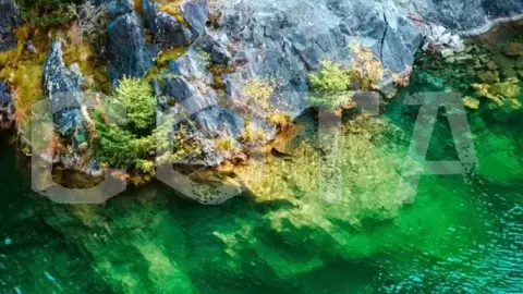 Экскурсия в Кижи - фото 4