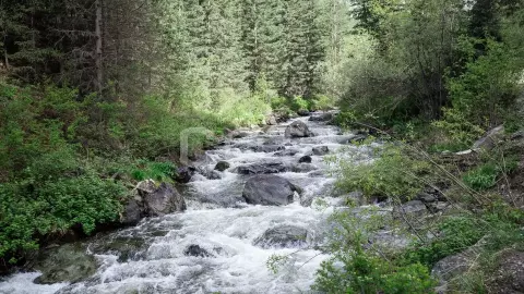 Большой Алтай. 7 дней - фото 4
