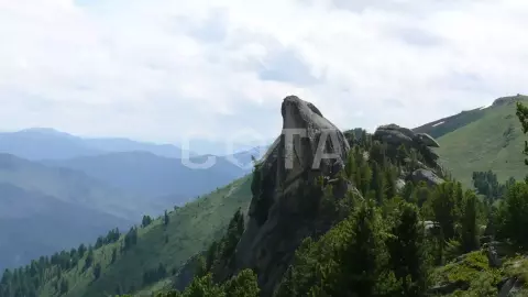 Семь мгновений лета - фото 1