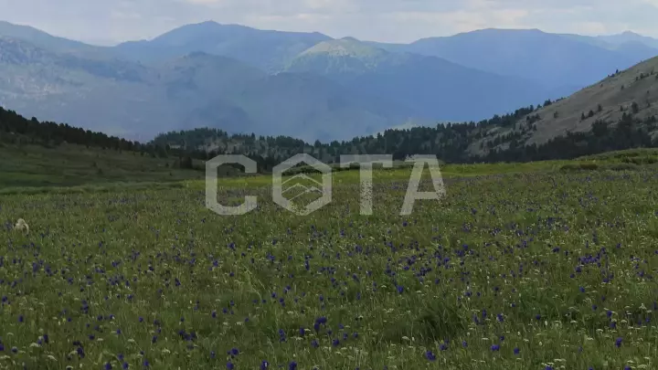 Пять дней в седле - фото 35