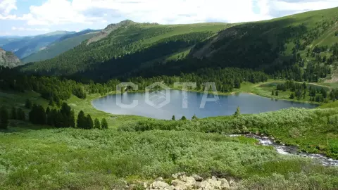 Мини конно-водный - фото 1
