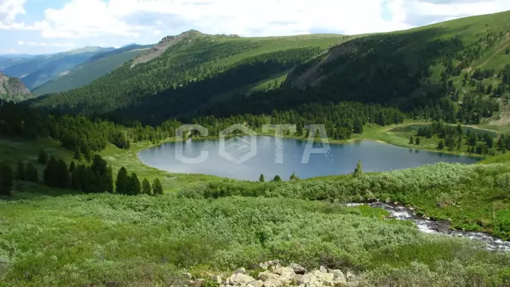 Мини конно-водный - фото 20