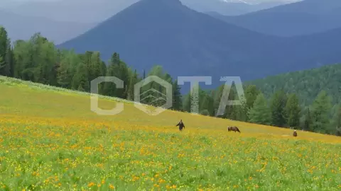 Прогулка с ветром - фото 1
