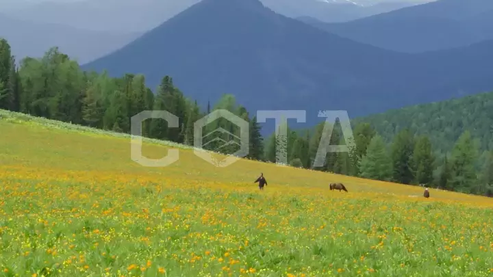 Прогулка с ветром - фото 24