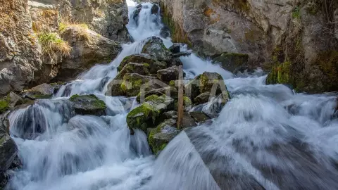 Чемал. Активная неделя. - фото 1