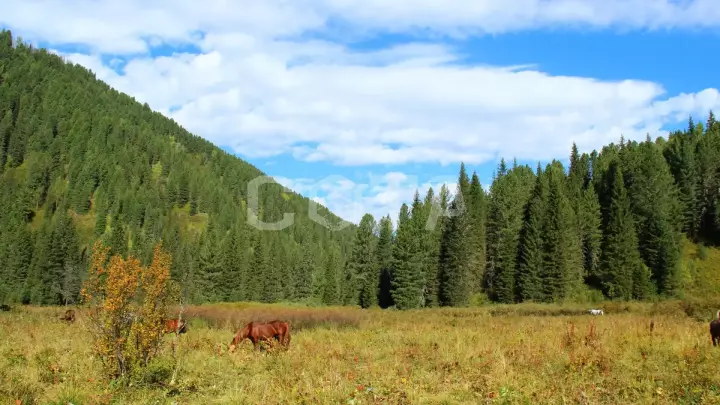 Сумультинский конный с рыбалкой - фото 29