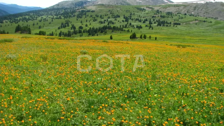 Пять дней в седле - фото 36