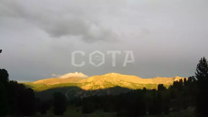 Семь мгновений лета - фото 1