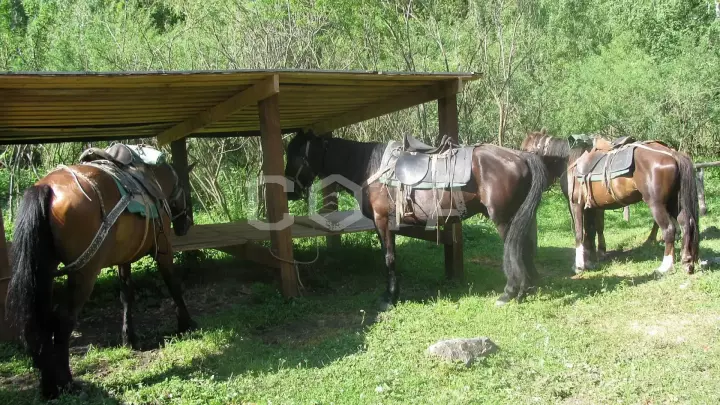 Пять дней в седле - фото 8