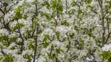 Летняя экспедиция - фото 8 (миниатюра)