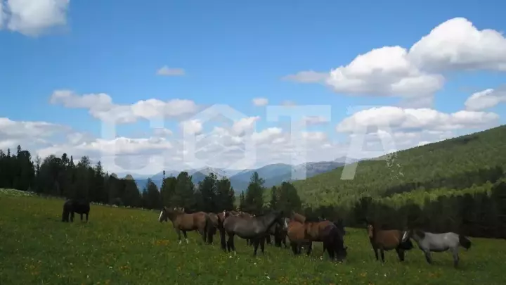 Прогулка с ветром - фото 3