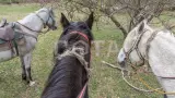 Летняя экспедиция - фото 6 (миниатюра)