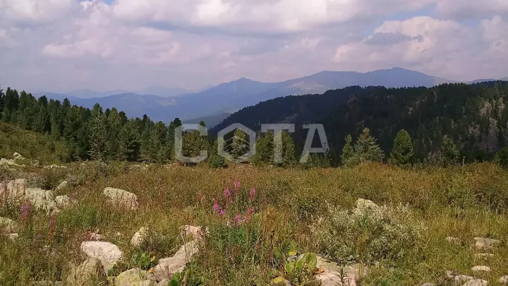 Прогулка с ветром - фото 4