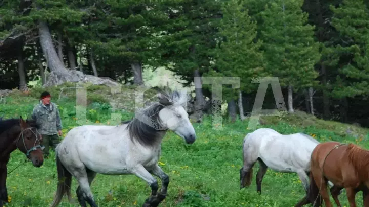 Сумультинский конный с рыбалкой - фото 9
