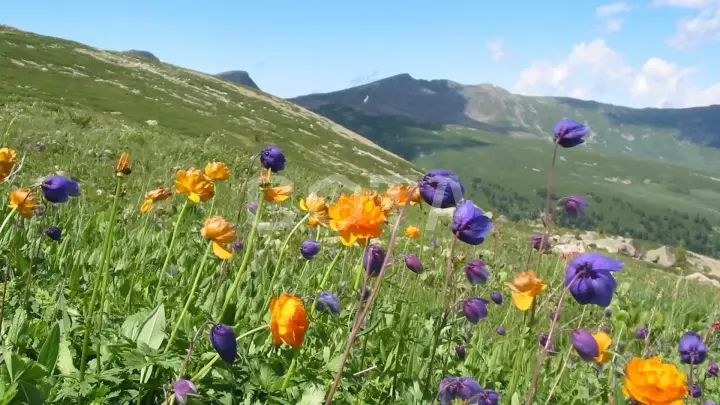 Семь мгновений лета - фото 10