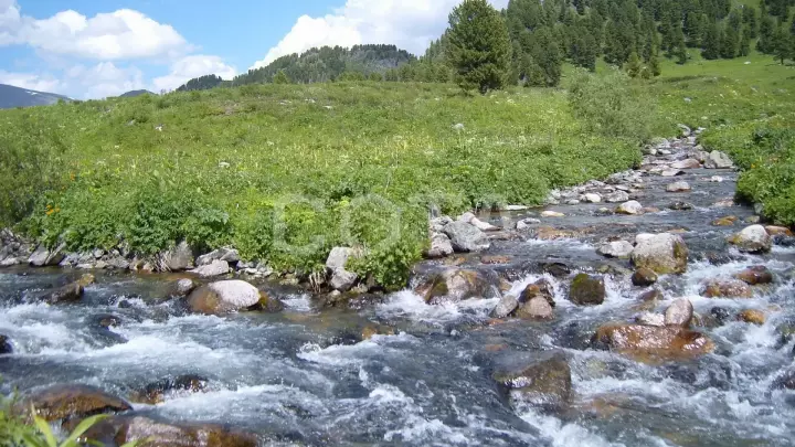 Пять дней в седле - фото 2