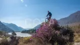 Летняя экспедиция - фото 17 (миниатюра)