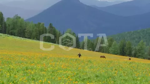 Девять дней на Алтае - фото 3