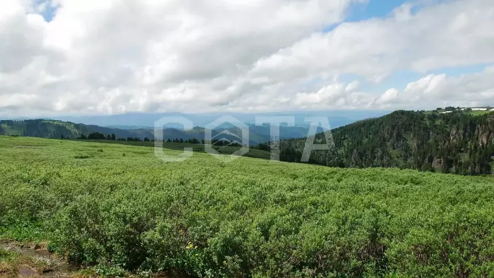 Конный тур к озеру Манас - фото 34