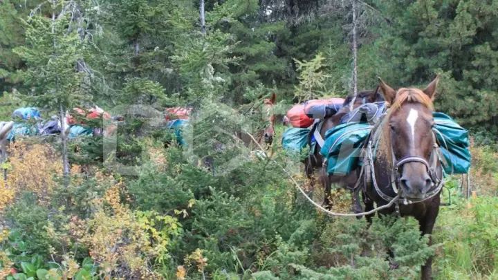 Сумультинский конный с рыбалкой - фото 3
