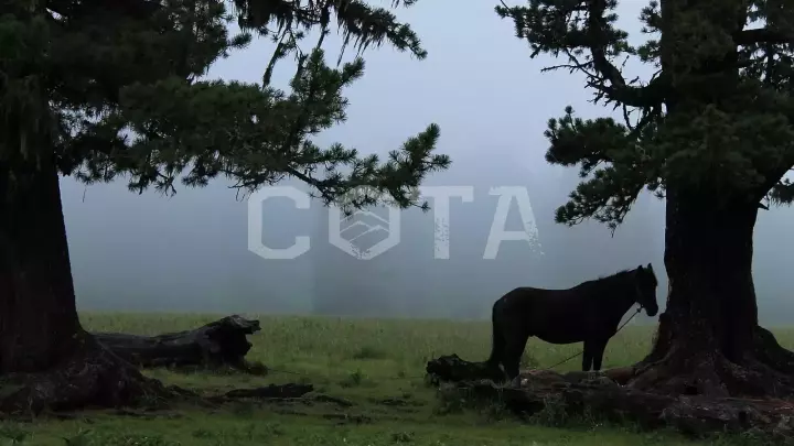 Конный тур к озеру Манас - фото 26