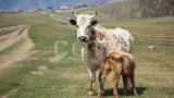 Летняя экспедиция - фото 5 (миниатюра)