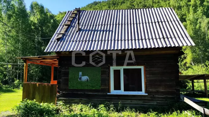 Конный тур к озеру Манас - фото 6