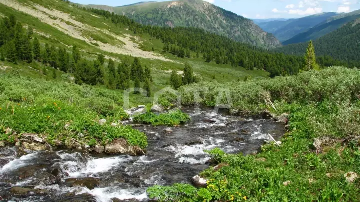 Высокогорные озера Алтая - фото 8