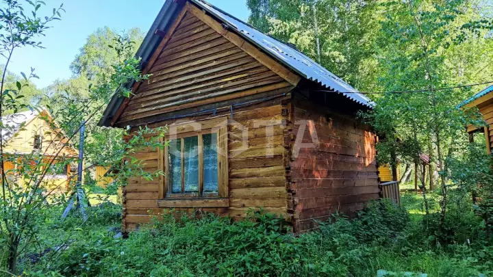 Прогулка с ветром - фото 11