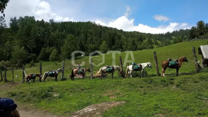 Пять дней в седле - фото 20