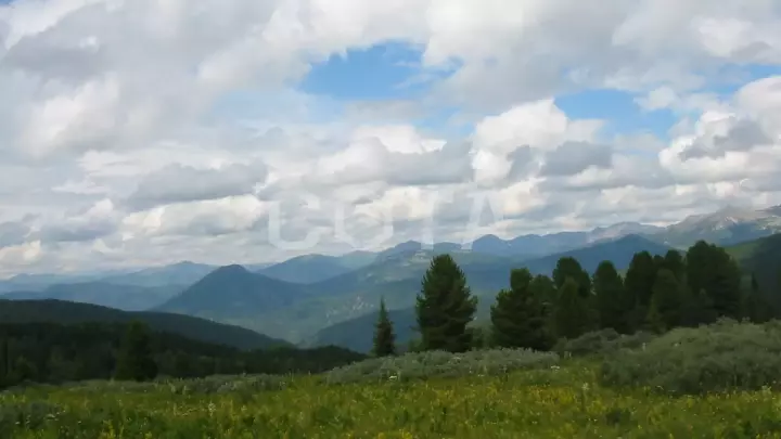 Семь мгновений лета - фото 6