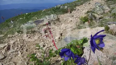 Пять дней в седле - фото 4
