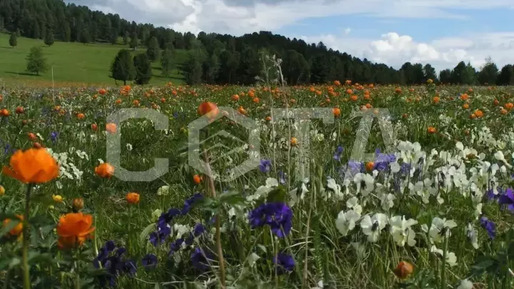 Счастливая десятка - фото 3