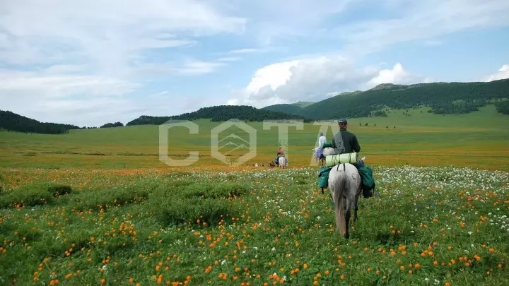 Конный тур к озеру Манас - фото 40