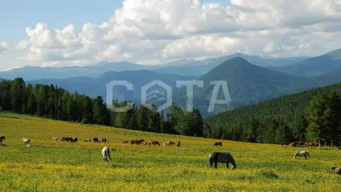 Пять дней в седле - фото 2