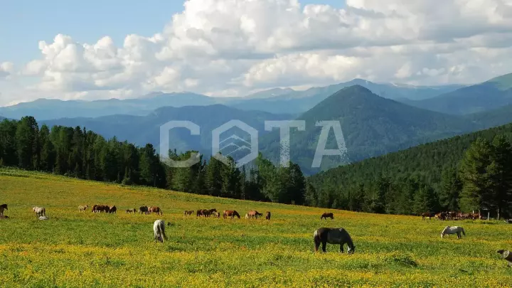 Пять дней в седле - фото 1