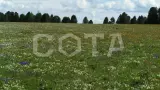 Высокогорные озера Алтая - фото 12 (миниатюра)