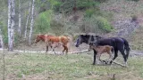 Летняя экспедиция - фото 12 (миниатюра)