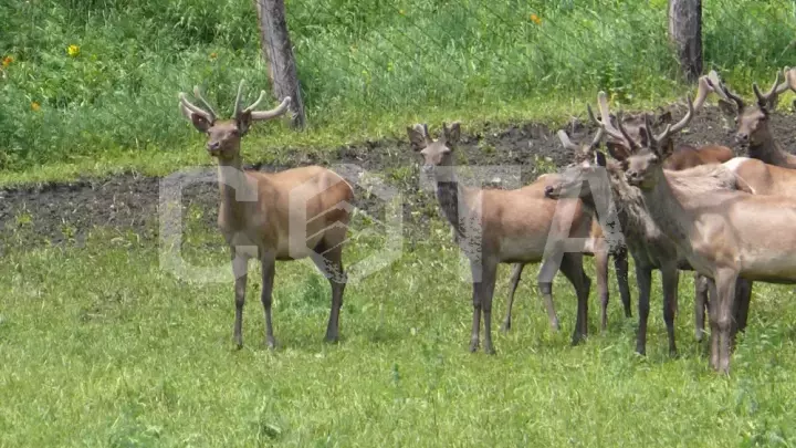 Конный тур к озеру Манас - фото 38