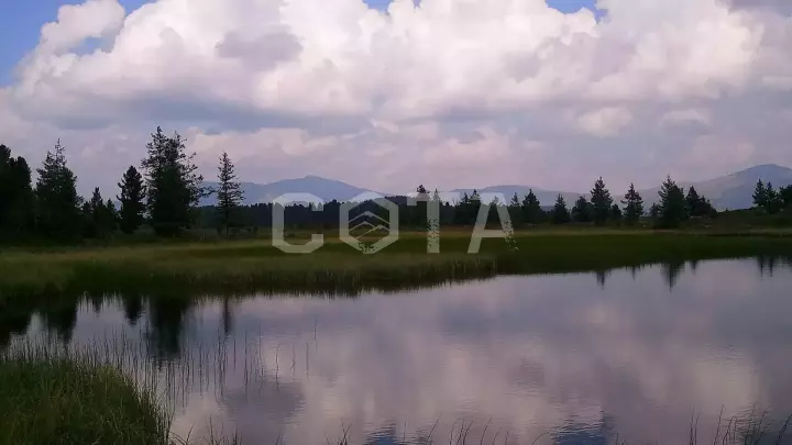 Прогулка с ветром - фото 2