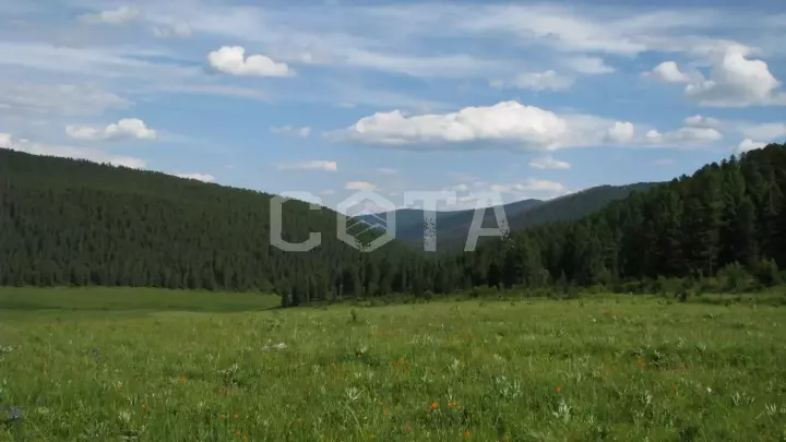 Семь мгновений лета - фото 2