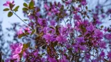 Летняя экспедиция - фото 3 (миниатюра)