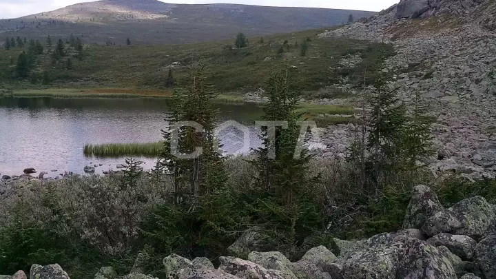 Конный тур к озеру Манас - фото 20