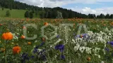 Путешествие к Уйменю - фото 13 (миниатюра)