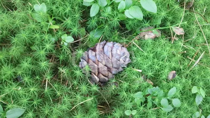 Конный тур к озеру Манас - фото 32