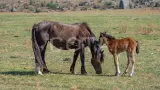 Летняя экспедиция - фото 1 (миниатюра)