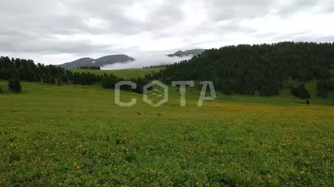 Счастливая десятка - фото 5